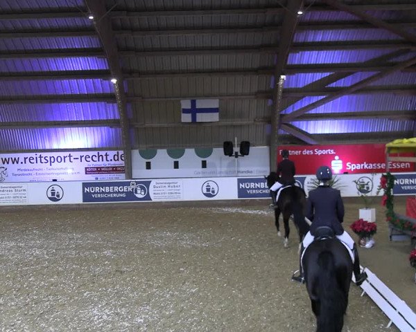 Reitturnier Essen-Stadtwald 2023