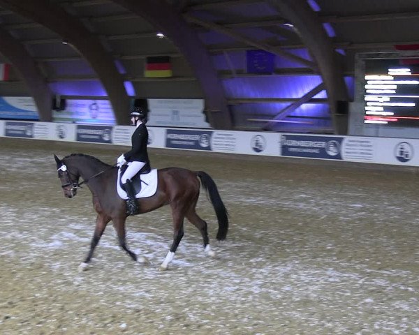 Reitturnier Essen-Stadtwald 2023