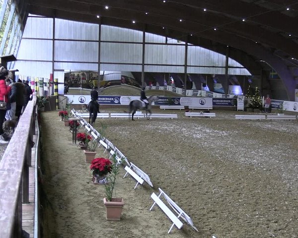 Reitturnier Essen-Stadtwald 2023