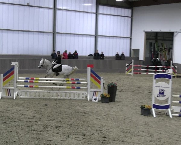 Reitturnier Münster-Handorf 2023
