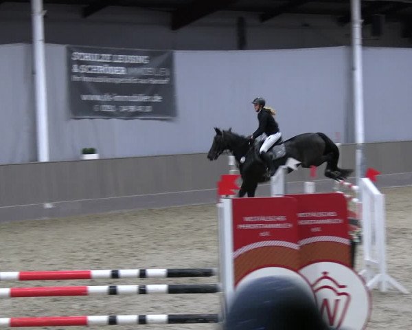Reitturnier Münster-Handorf 2023