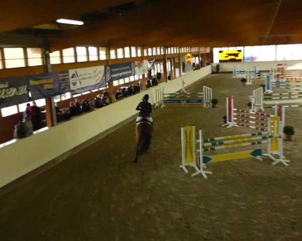 Reitturnier Fleesensee Classic´s 2023