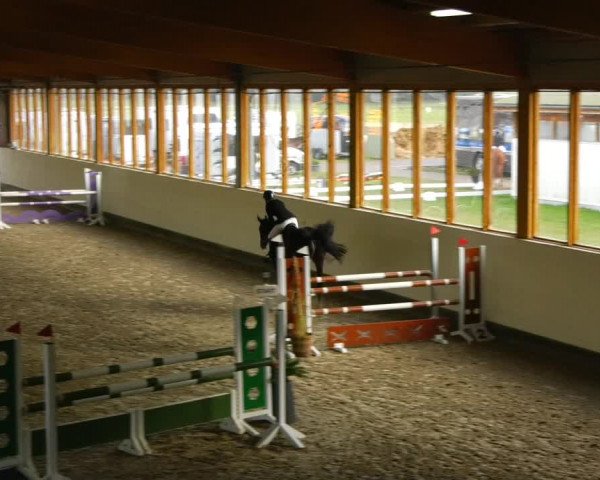 Reitturnier Fleesensee Classic´s 2023