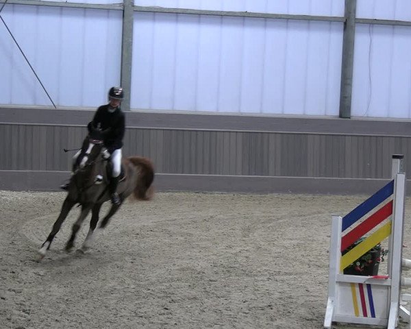 Reitturnier Münster-Handorf 2023
