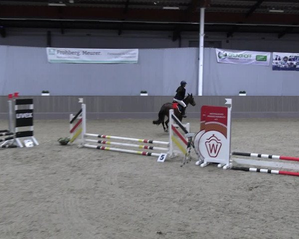 Reitturnier Münster-Handorf 2023