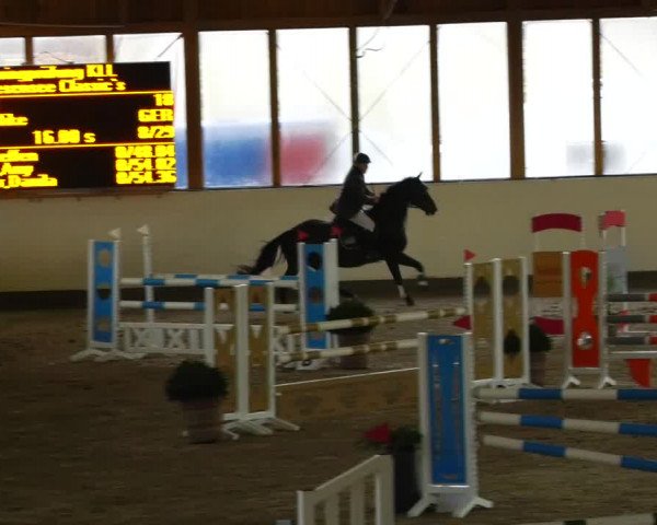 Reitturnier Fleesensee Classic´s 2023