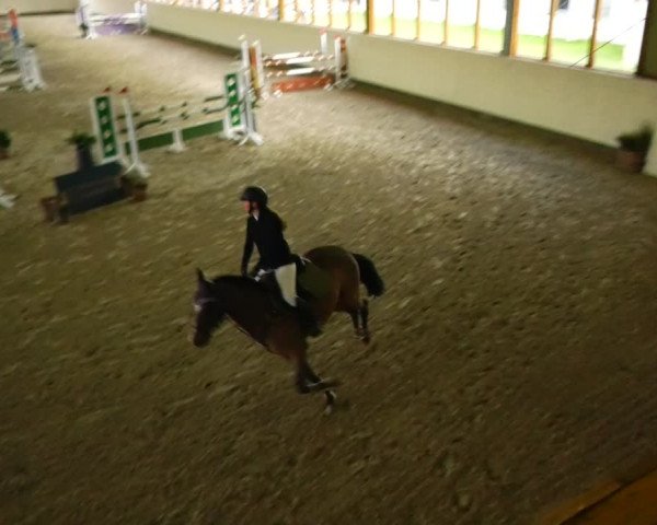 Reitturnier Fleesensee Classic´s 2023