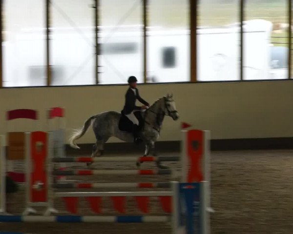 Reitturnier Fleesensee Classic´s 2023
