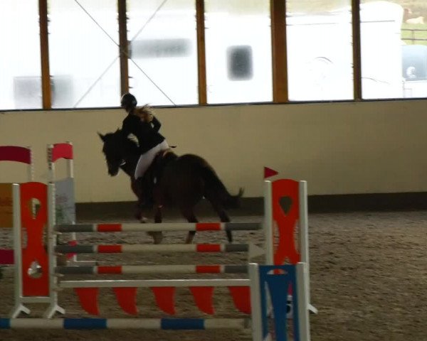 Reitturnier Fleesensee Classic´s 2023