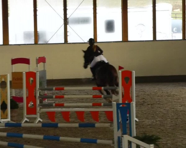 Reitturnier Fleesensee Classic´s 2023