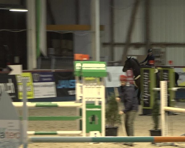 Reitturnier Oberriet 2023