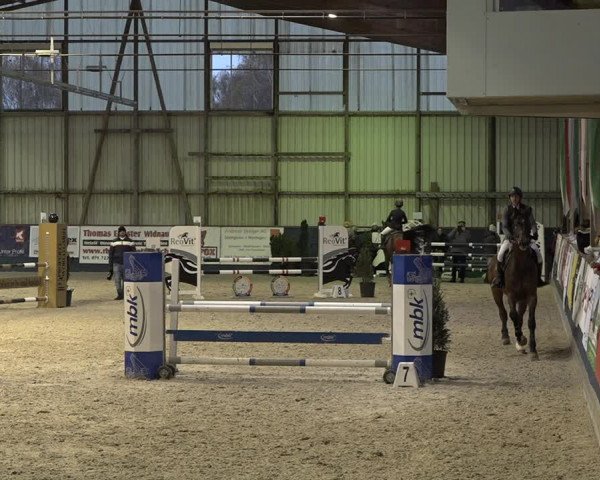 Reitturnier Oberriet 2023