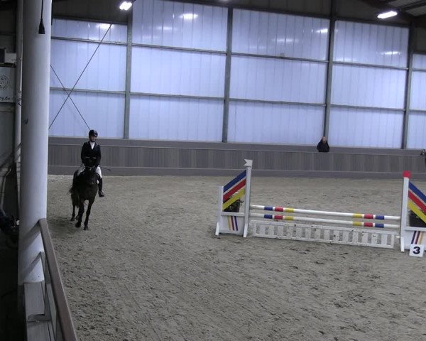 Reitturnier Münster-Handorf 2023