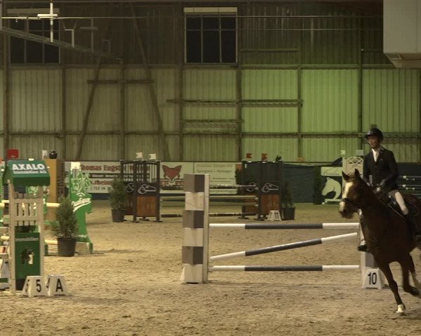 Reitturnier Oberriet 2023