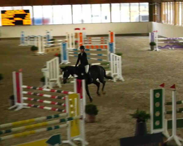 Reitturnier Fleesensee Classic´s 2023