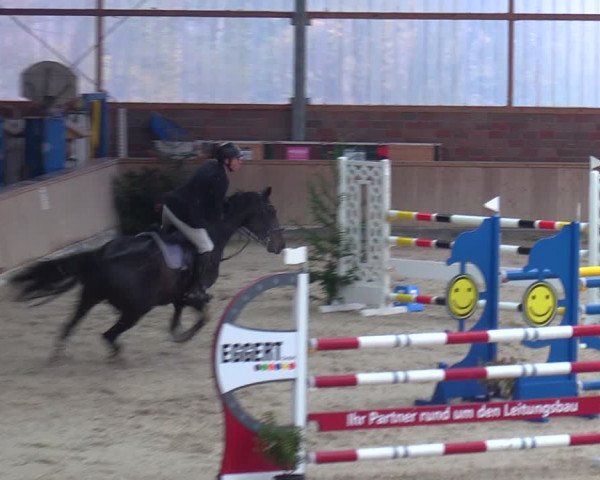 Reitturnier Heek-Nienborg 2023