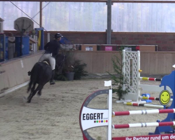 Reitturnier Heek-Nienborg 2023