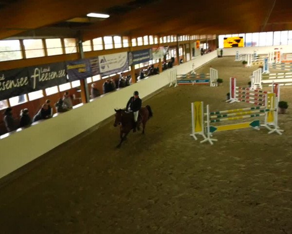 Reitturnier Fleesensee Classic´s 2023