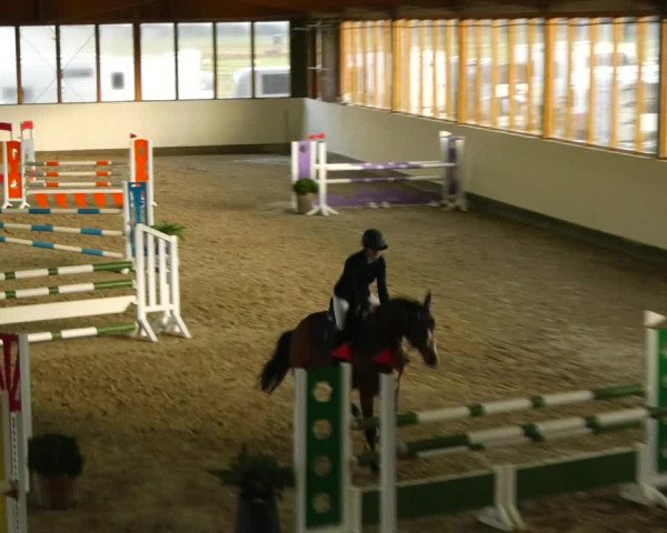 Reitturnier Fleesensee Classic´s 2023