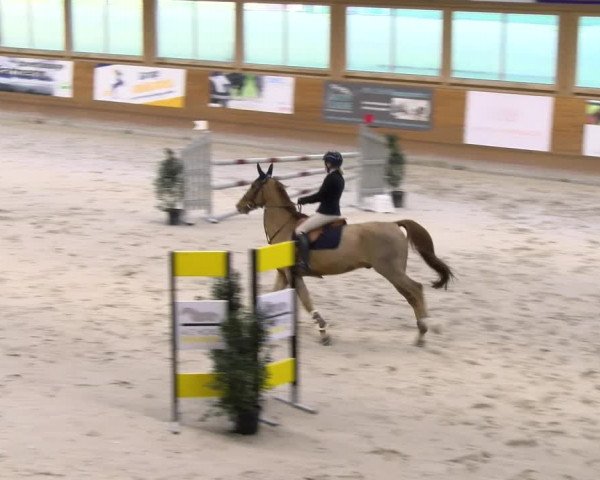 Reitturnier Rüti 2023