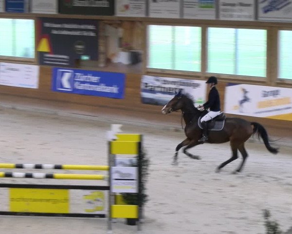 Reitturnier Rüti 2023