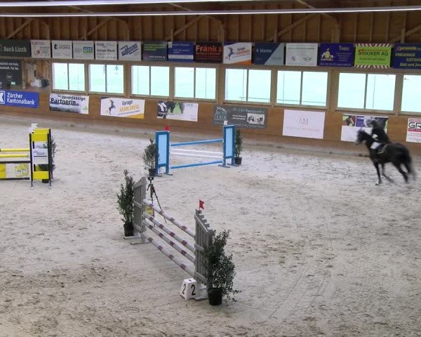 Reitturnier Rüti 2023