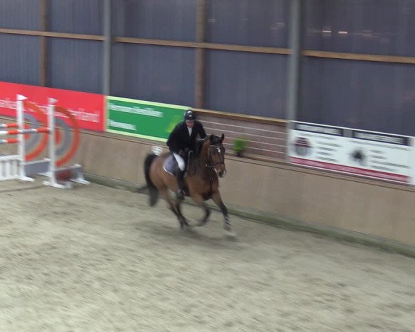 Reitturnier Heek-Nienborg 2023