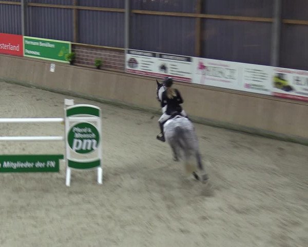Reitturnier Heek-Nienborg 2023