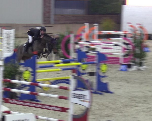 Reitturnier Heek-Nienborg 2023