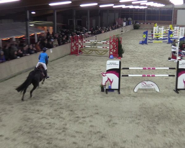 Reitturnier Heek-Nienborg 2023