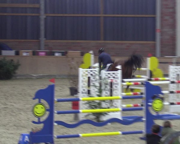 Reitturnier Heek-Nienborg 2023