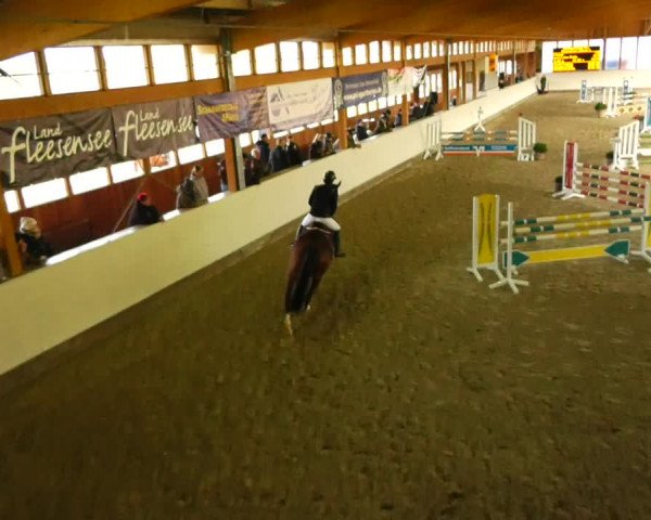 Reitturnier Fleesensee Classic´s 2023