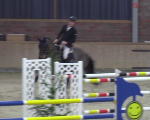 Reitturnier Heek-Nienborg 2023