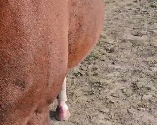 Video of Fame 154