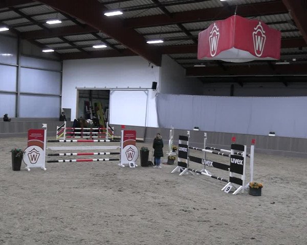 Reitturnier Münster-Handorf 2023
