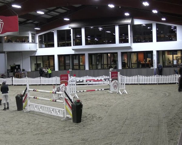 Reitturnier Münster-Handorf 2023