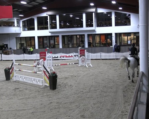 Reitturnier Münster-Handorf 2023