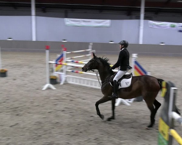 Reitturnier Münster-Handorf 2023