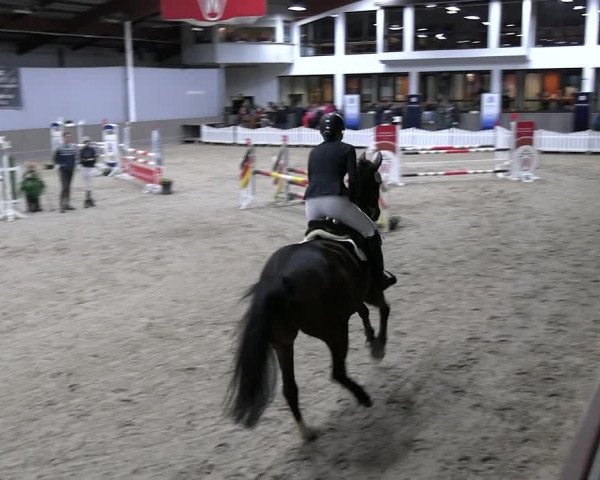 Reitturnier Münster-Handorf 2023