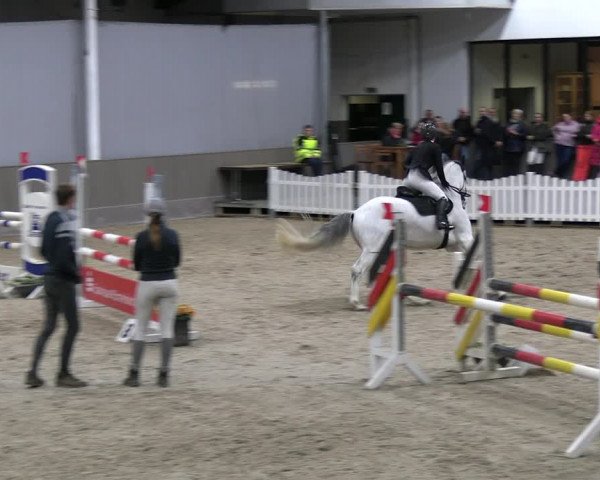 Reitturnier Münster-Handorf 2023