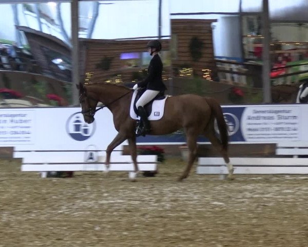 Reitturnier Essen-Stadtwald 2023