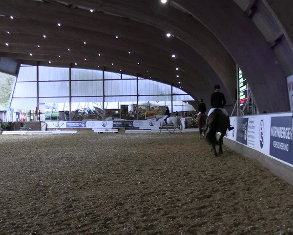 Reitturnier Essen-Stadtwald 2023