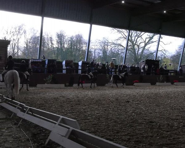 Reitturnier Essen-Stadtwald 2023