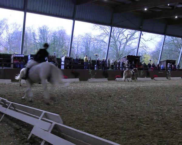 Reitturnier Essen-Stadtwald 2023