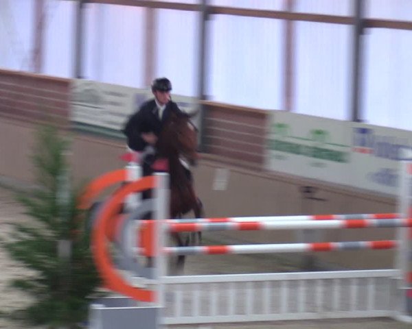 Reitturnier Heek-Nienborg 2023