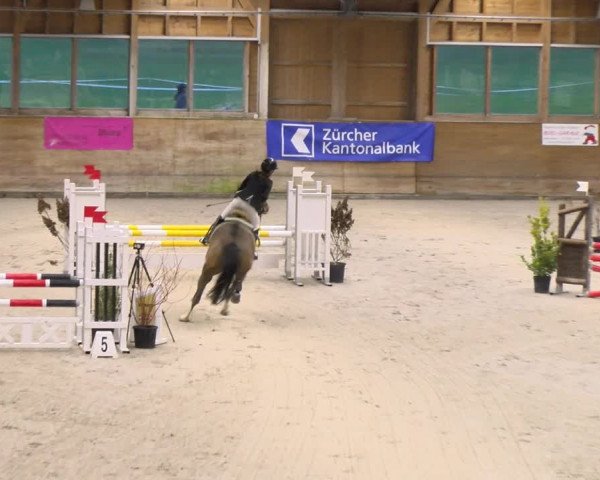 Reitturnier Rüti 2023
