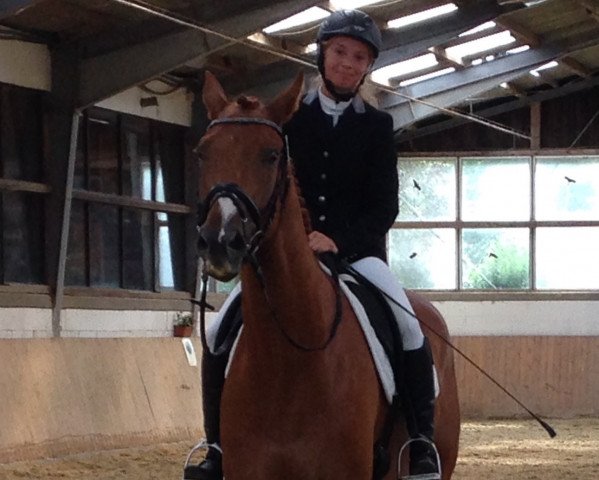 dressage horse Real Darling (Westphalian, 2010, from Real Diamond)