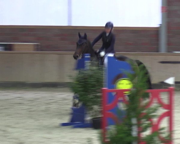 Reitturnier Heek-Nienborg 2023