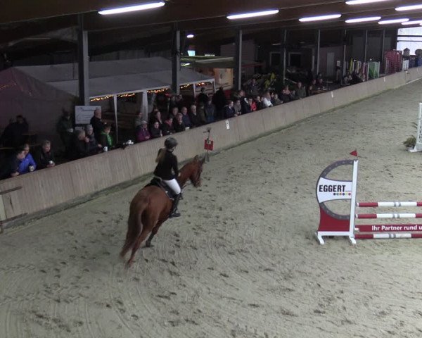 Reitturnier Heek-Nienborg 2023