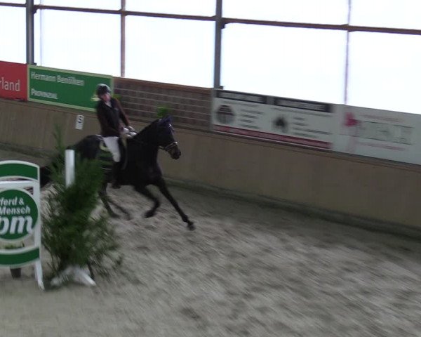Reitturnier Heek-Nienborg 2023
